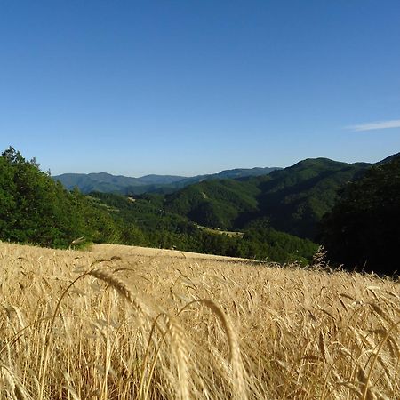 Agriturismo I Monti Di Salecchio ปาลาซซูโอโล ซุล เซนิโอ ภายนอก รูปภาพ