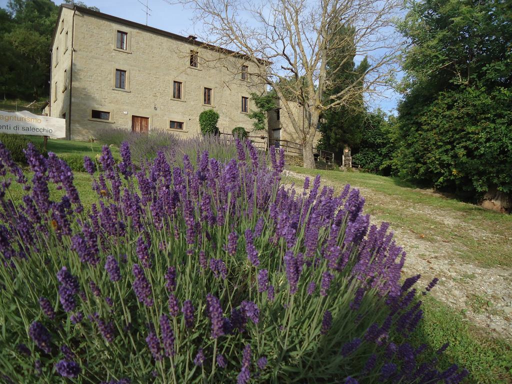 Agriturismo I Monti Di Salecchio ปาลาซซูโอโล ซุล เซนิโอ ภายนอก รูปภาพ