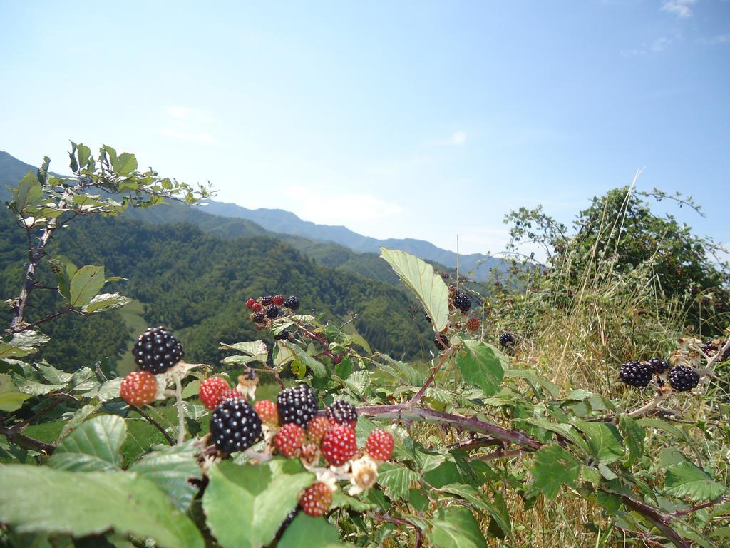 Agriturismo I Monti Di Salecchio ปาลาซซูโอโล ซุล เซนิโอ ภายนอก รูปภาพ