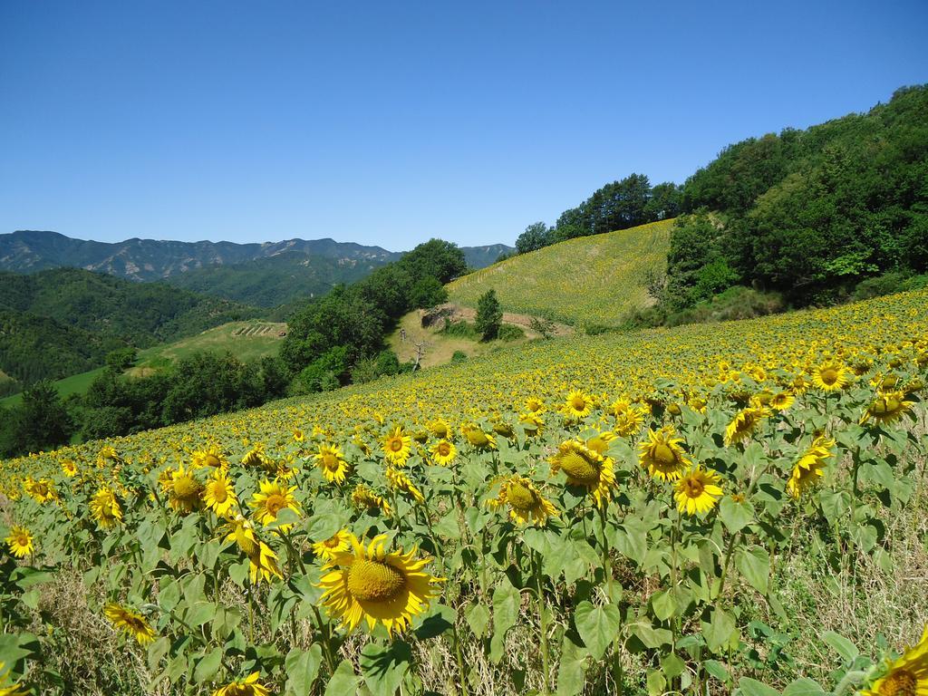 Agriturismo I Monti Di Salecchio ปาลาซซูโอโล ซุล เซนิโอ ภายนอก รูปภาพ
