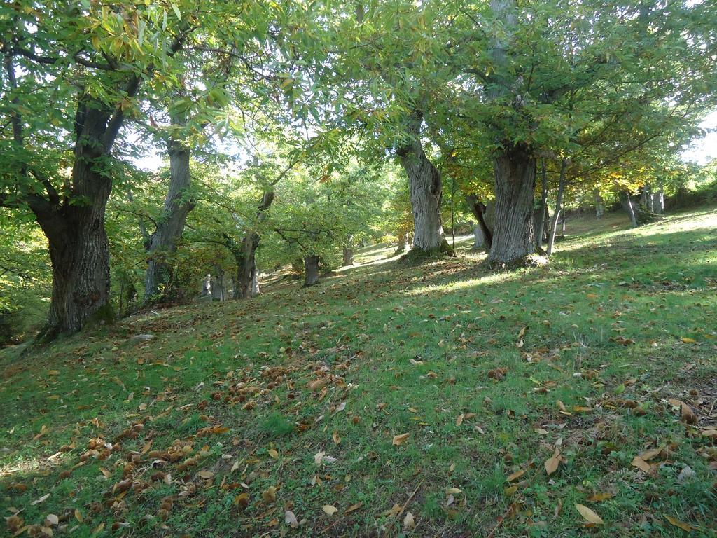 Agriturismo I Monti Di Salecchio ปาลาซซูโอโล ซุล เซนิโอ ภายนอก รูปภาพ