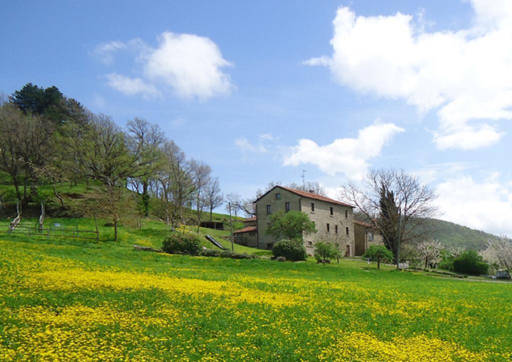 Agriturismo I Monti Di Salecchio ปาลาซซูโอโล ซุล เซนิโอ ภายนอก รูปภาพ