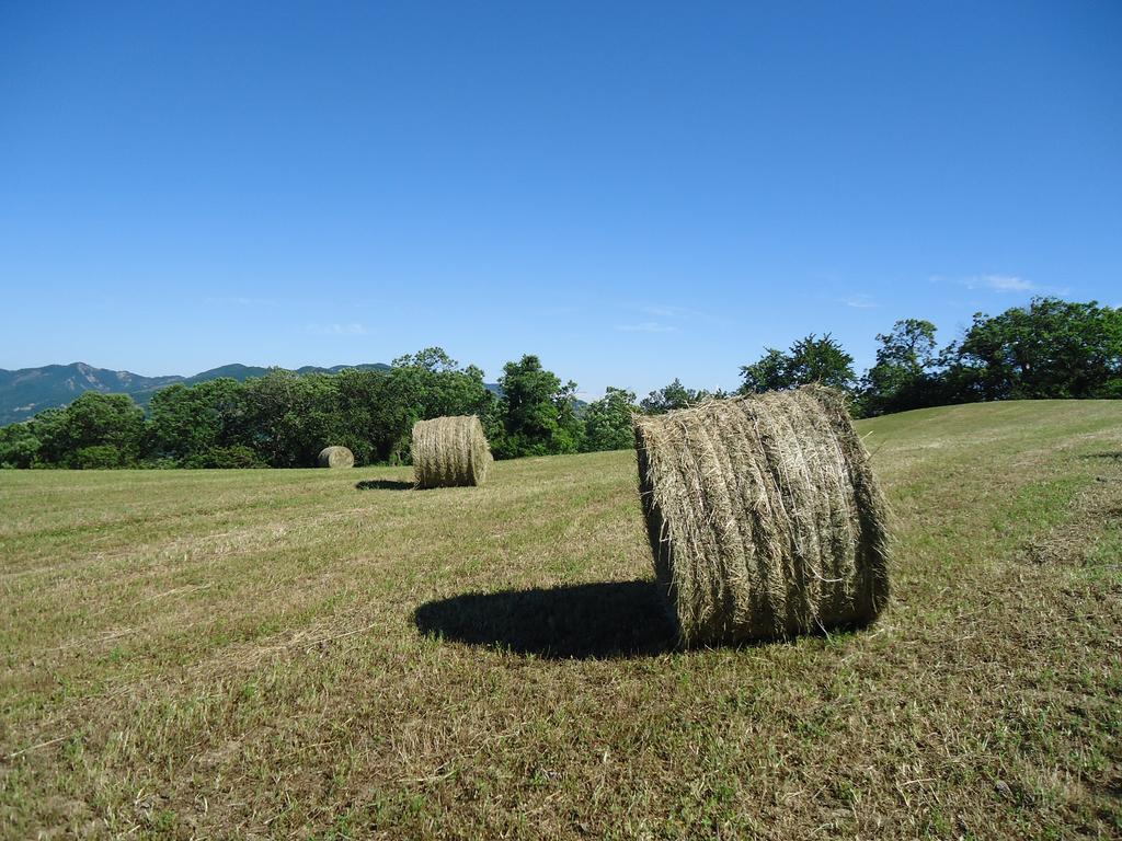 Agriturismo I Monti Di Salecchio ปาลาซซูโอโล ซุล เซนิโอ ภายนอก รูปภาพ